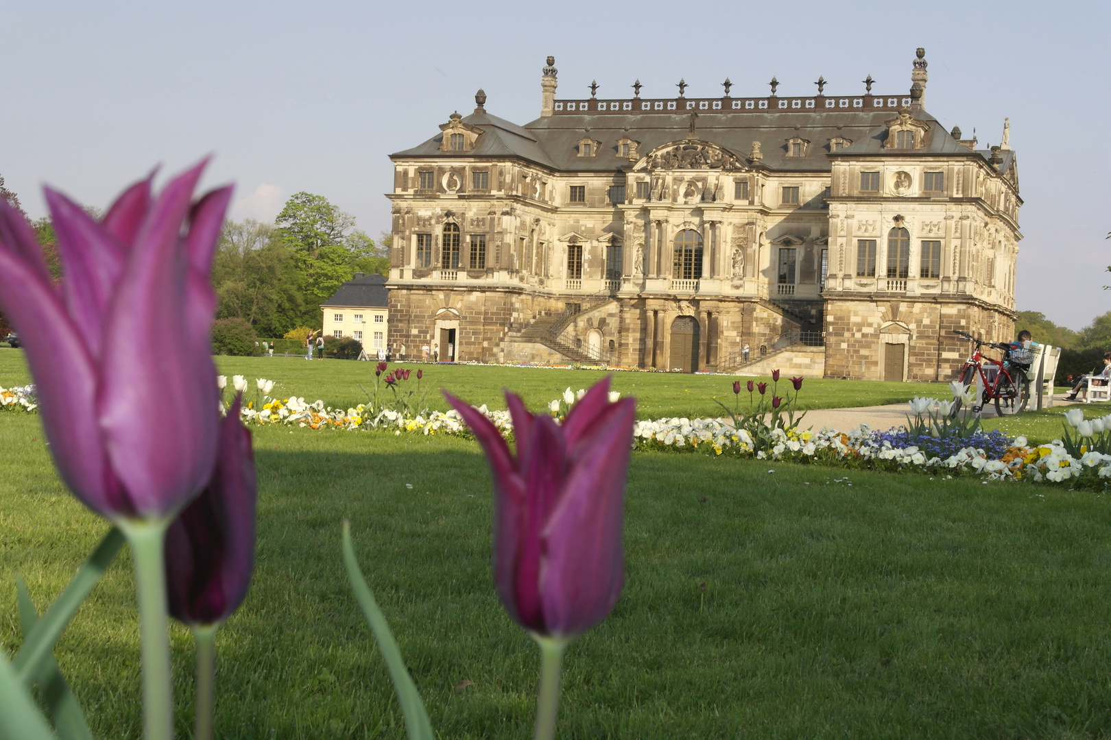 Palais im Großen Garten - im Mai 2013