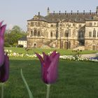 Palais im Großen Garten - im Mai 2013