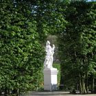 Palaisgarten in Trier