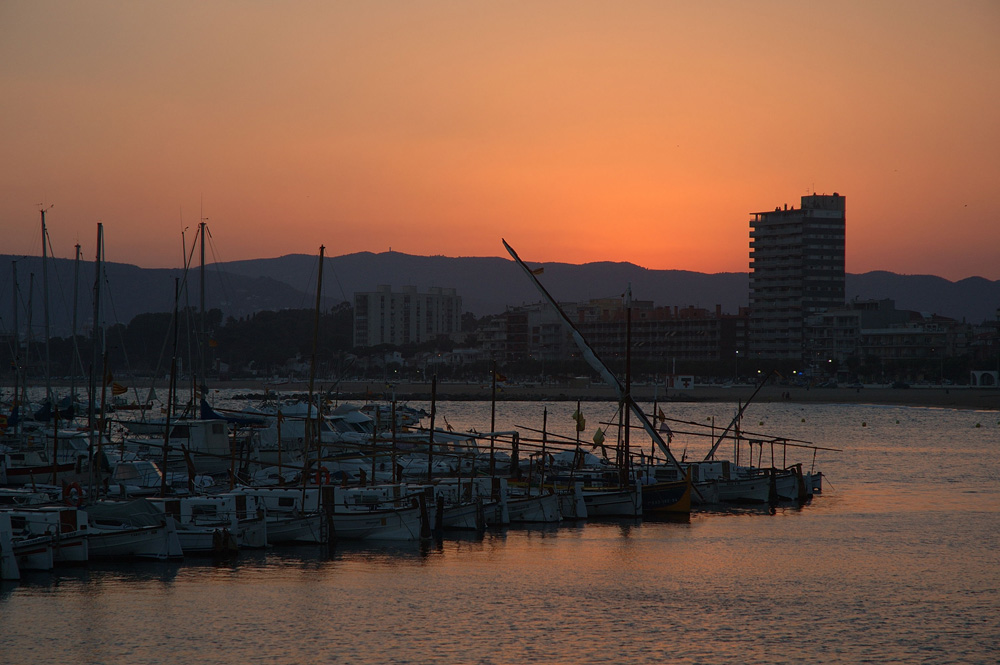 PALAMOS