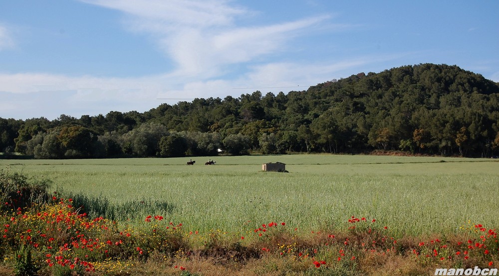 PALAMÓS