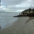 Palanga nach dem Sturm "Erwin"