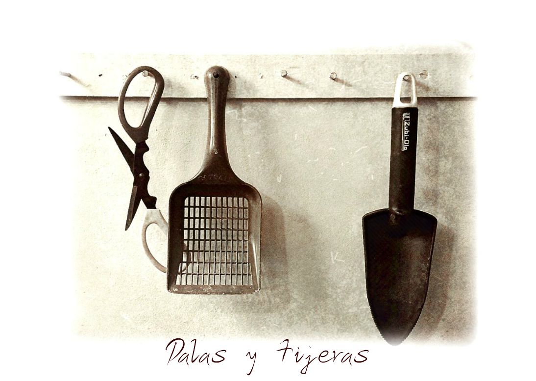 Palas y tijeras