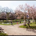 Palastgarten in Trier