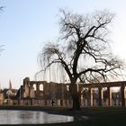 Palastgarten Trier im Winter