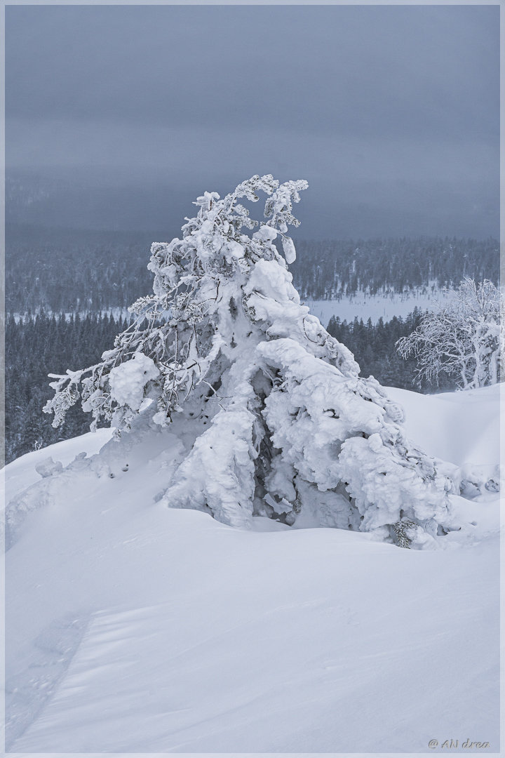 Palastunturi Winter in Finnland