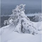 Palastunturi Winter in Finnland