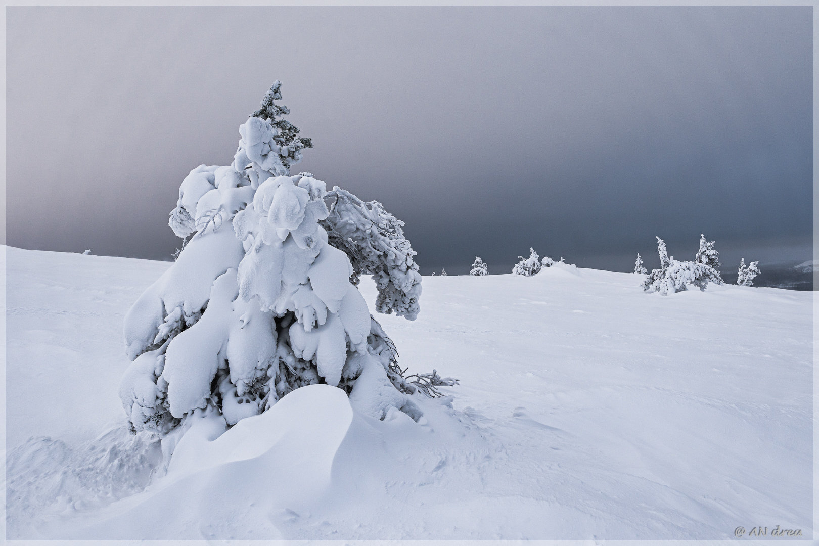 Palastunturi Winter in Finnland