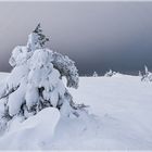 Palastunturi Winter in Finnland