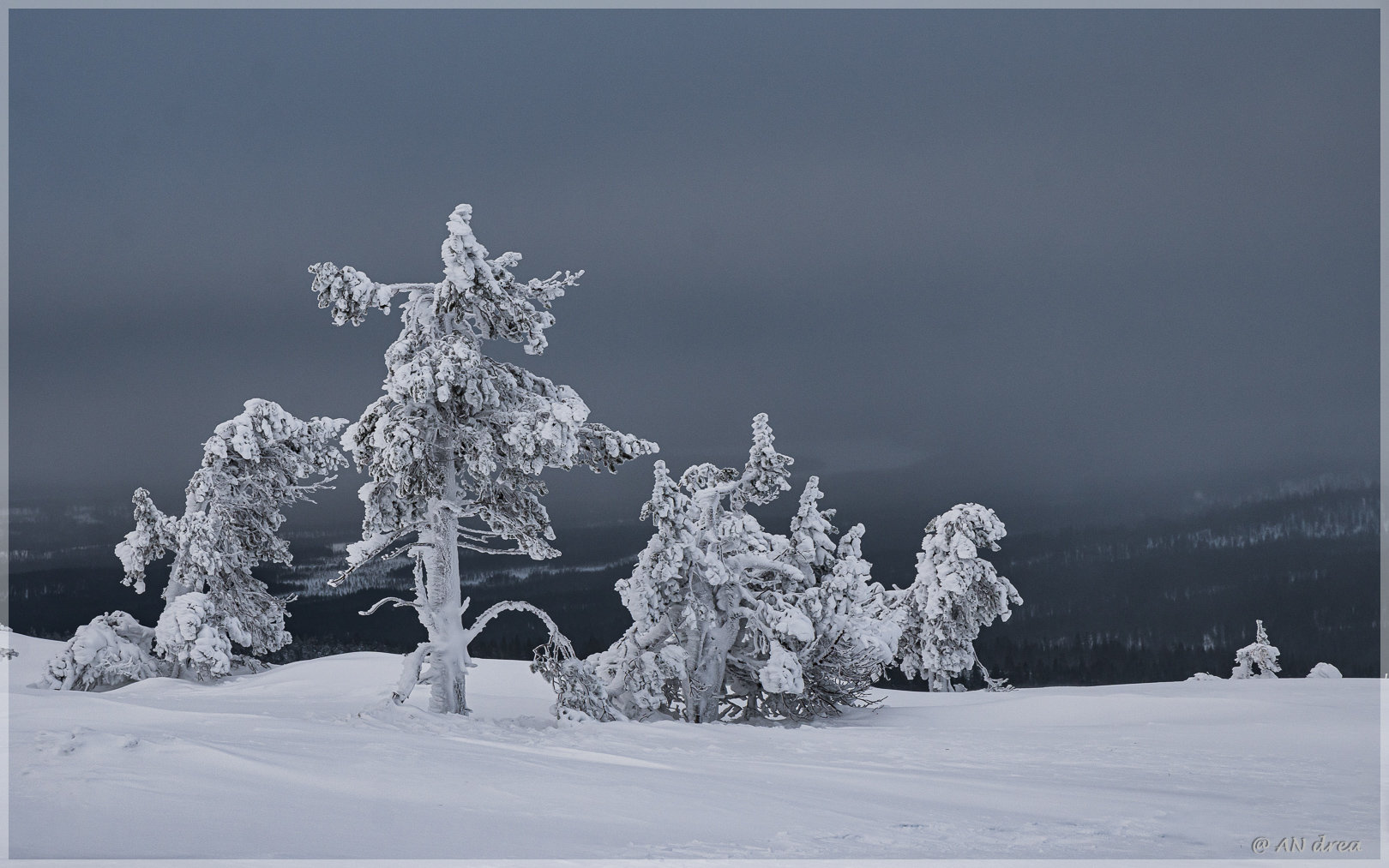 Palastunturi Winter in Finnland