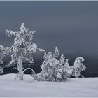 Palastunturi Winter in Finnland