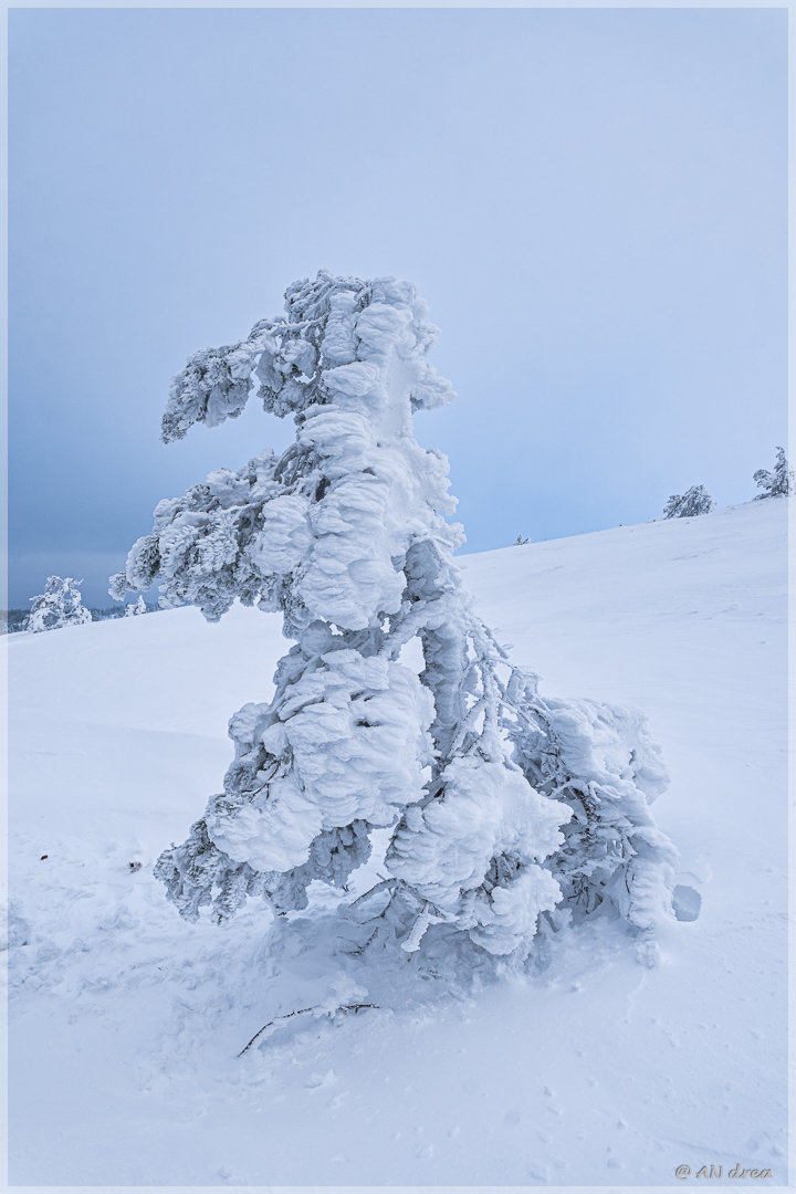 Palastunturi Winter in Finnland