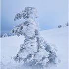 Palastunturi Winter in Finnland