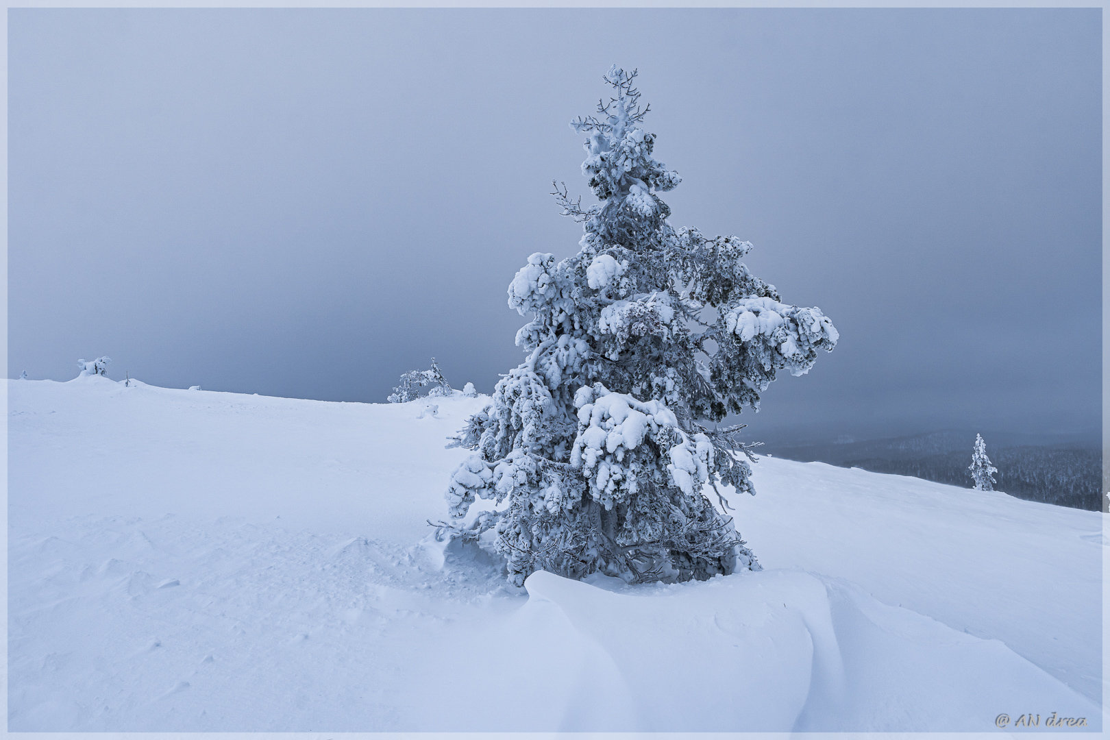 Palastunturi Winter in Finnland