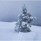 Palastunturi Winter in Finnland