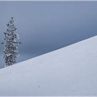 Palastunturi Winter in Finnland