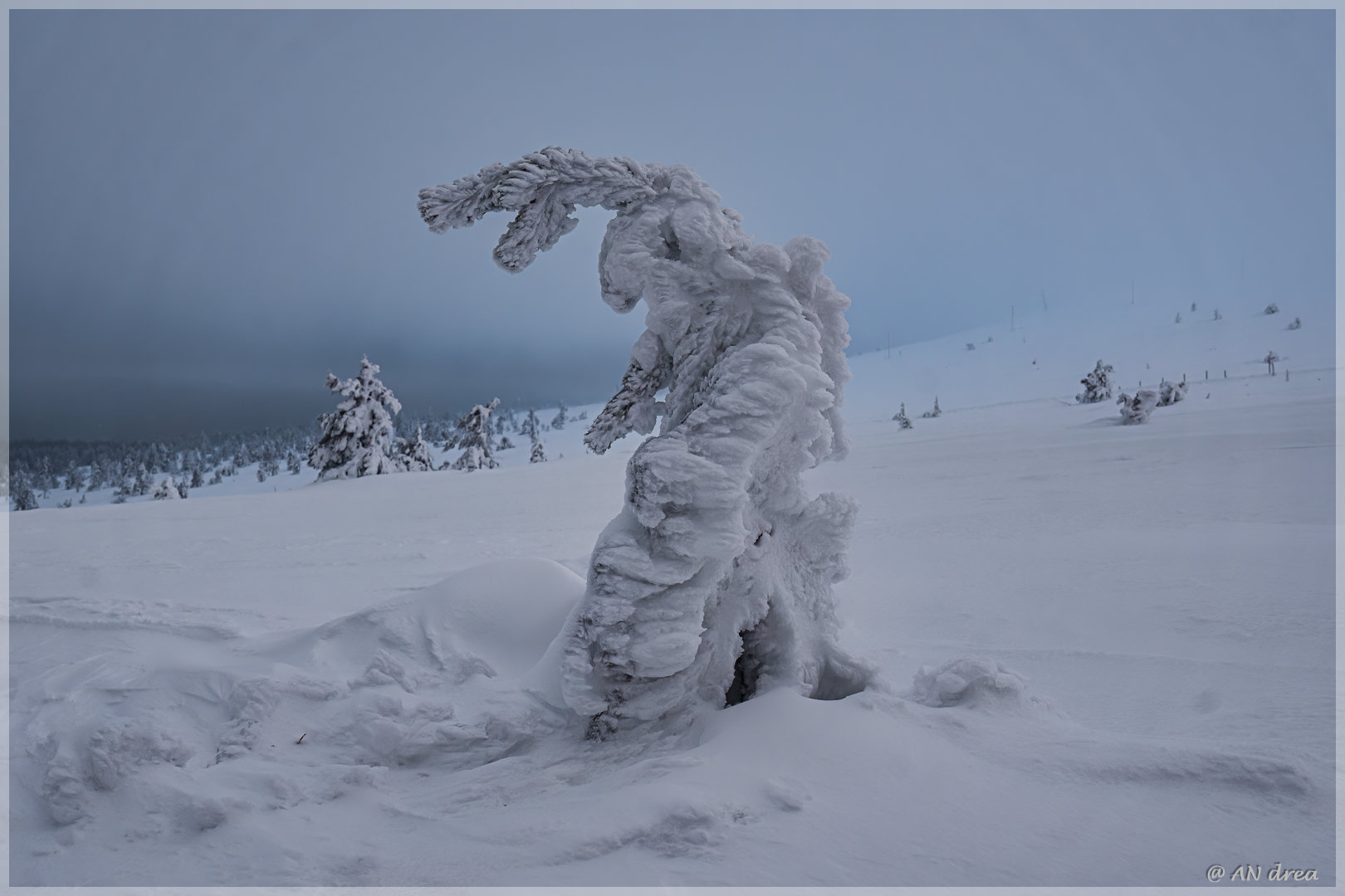 Palastunturi Winter in Finnland