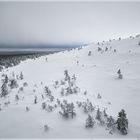 Palastunturi Winter in Finnland