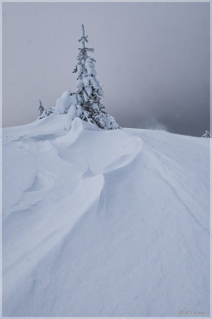 Palastunturi Winter in Finnland