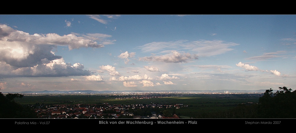 Palatina Mia 07 - Blick von der Wachtenburg - Wachenheim - Pfalz