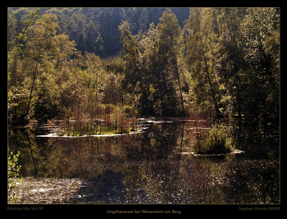 Palatina Mia 08 - Der Ungeheuersee