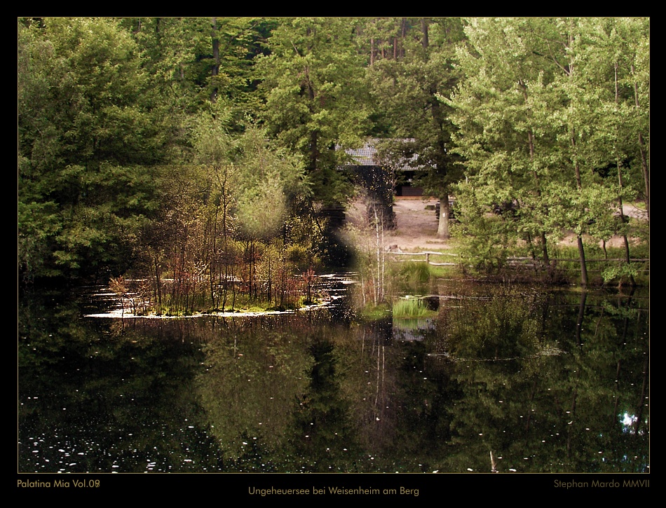 Palatina Mia 09 - Naturdenkmal Ungeheuersee