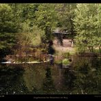 Palatina Mia 09 - Naturdenkmal Ungeheuersee