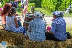 Palatina Social Community auf der Affenschaukel