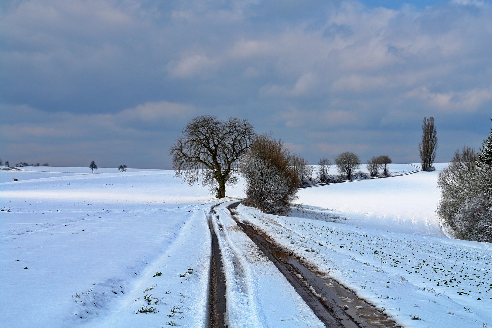 Palatinate Winter