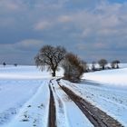 Palatinate Winter