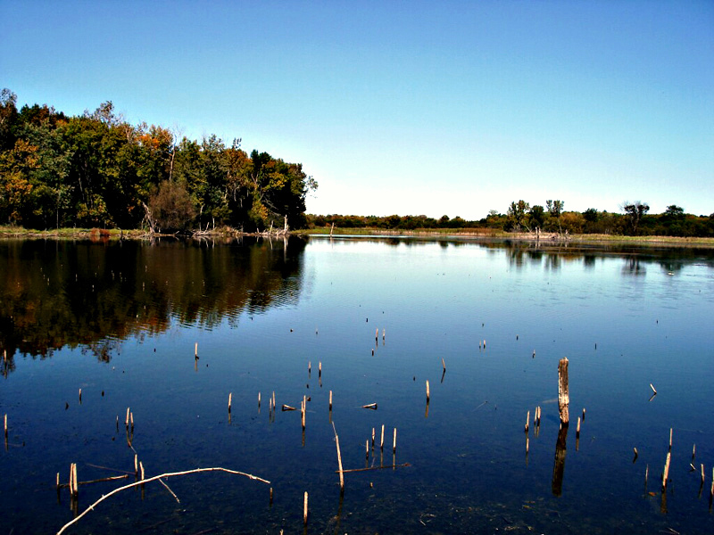 Palatine Marshes