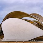 Palau de les Arts in der Stadt der "Wissenschaft und Künste, Valencia, Santiago Calatrava