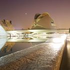 "Palau de les Arts" in Valencia