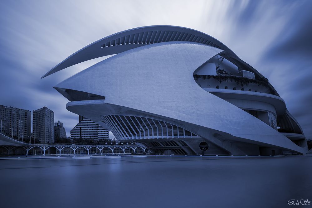 PALAU DE LES ARTS REINA SOFIA