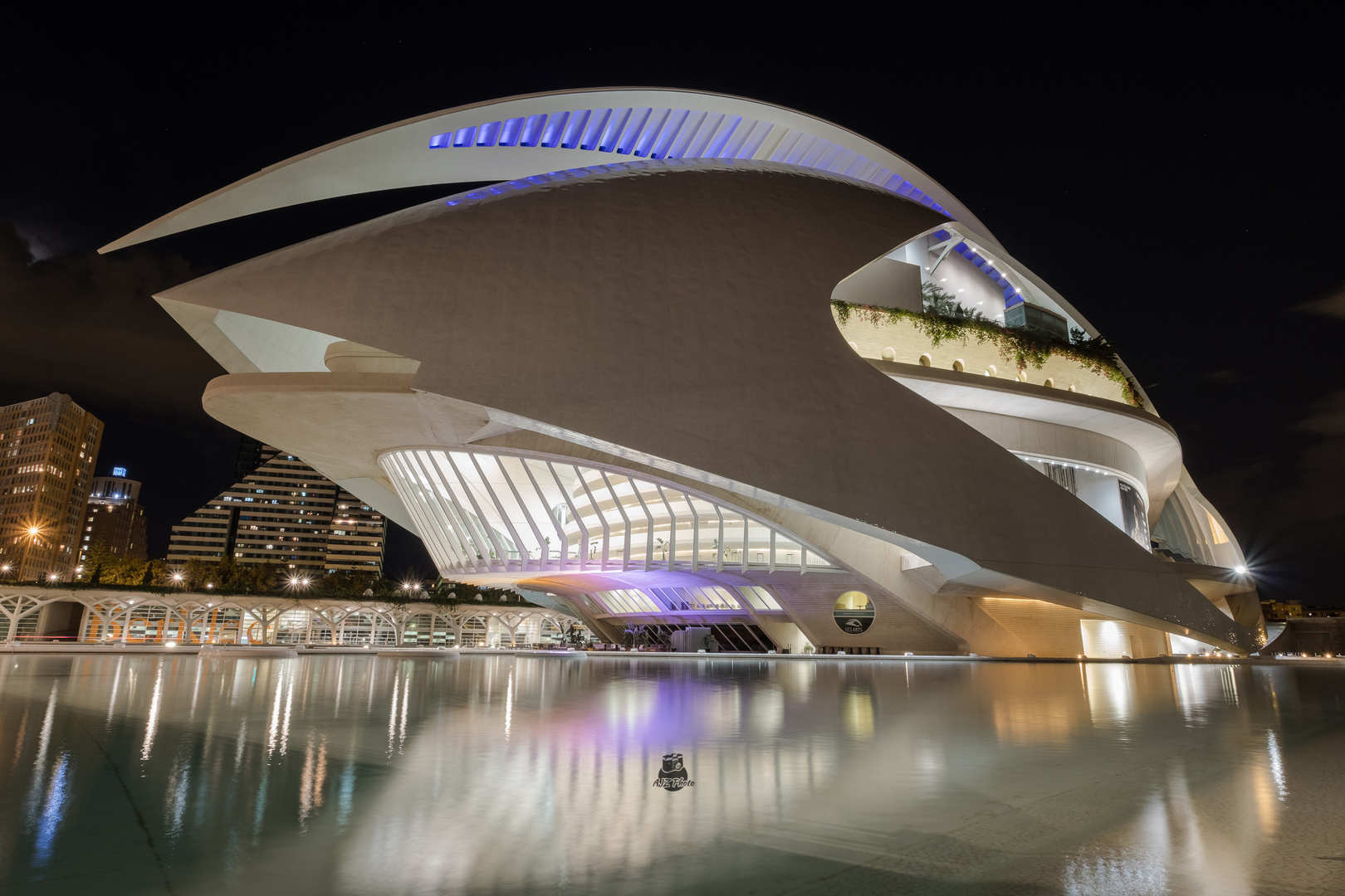 - Palau de les Arts Reina Sofia -