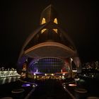 Palau de les Arts Reina Sofía