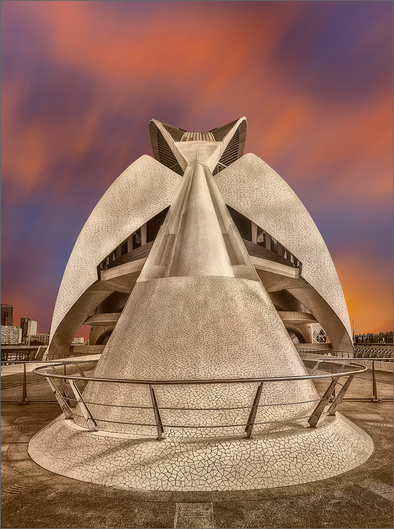  Palau de les Arts Reina Sofia 