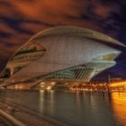 --- Palau de les Arts Reina Sofía ---