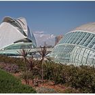 Palau de les Arts Reina Sofia - Opernhaus in Valencia