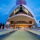 Palau de les Arts Reina Sofía, Valencia