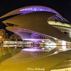 Palau de les Arts Reina Sofia - Valencia - Spanien