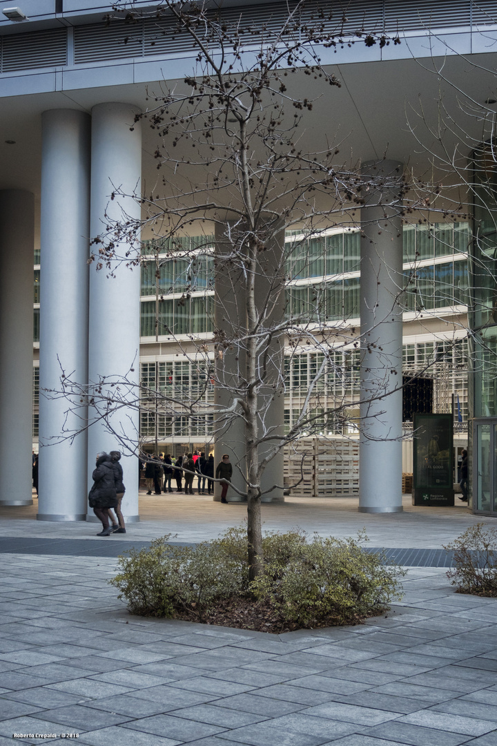 Palazzo della Regione Lombardia