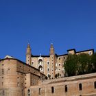 Palazzo ducale (Urbino)