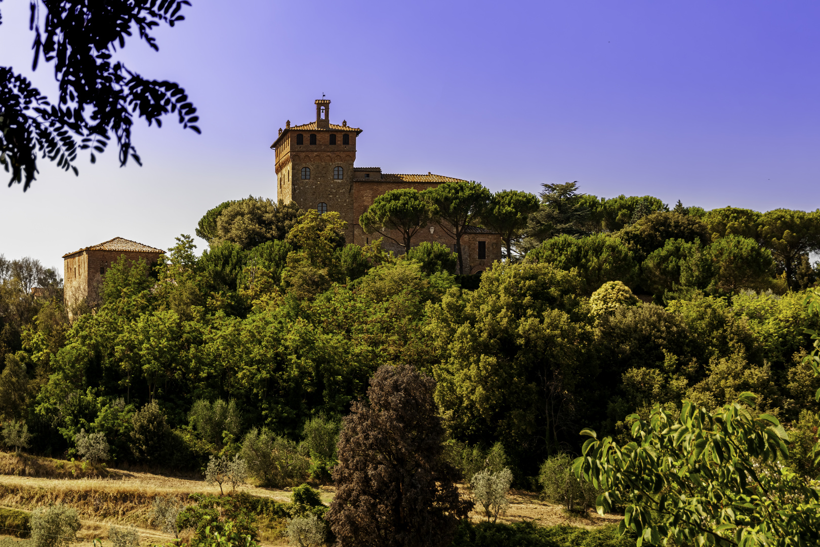 Palazzo Massaini