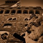 Palazzo Vecchio - special view