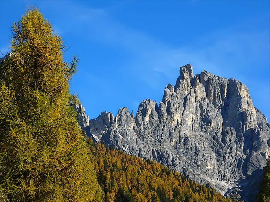 Pale di S. Martino, autunno