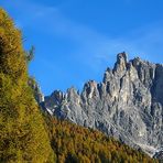 Pale di S. Martino, autunno