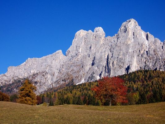 Pale di S. Martino, autunno