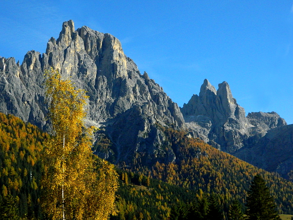 Pale di S. Martino, autunno