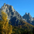 Pale di S. Martino, autunno